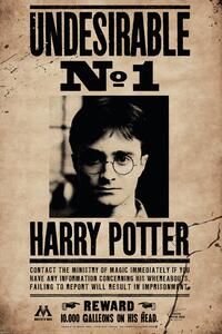 Plagát, Obraz - Harry Potter - Undersirable No.1, (61 x 91.5 cm)