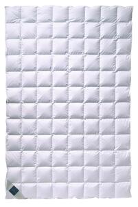 LETNÁ PRIKRÝVKA, 135/200 cm, páperie Billerbeck - Prikrývky & vankúše