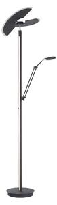 STOJACIA LED LAMPA, 87/44/202 cm XXXL - Série svietidiel