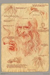 Plagát, Obraz - Leonardo Smoking Pot, (61 x 91.5 cm)