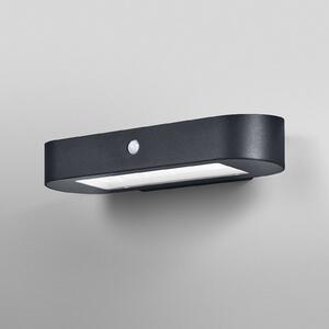 OSRAM LED senzorové nástenné svetlo ENDURA STYLE SOLAR OVAL 34 cm 830, Čierna, Hliník, Moderný