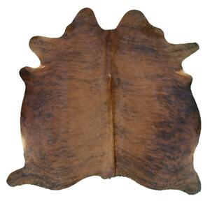 Hovädzia koža - Brindle 170x160 cm