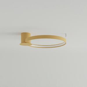 Stropné LED svietidlo Rio 55, 1x LED 30w, 3000k, g