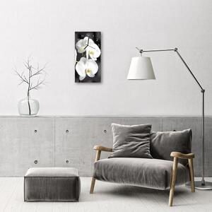 Sklenené hodiny vertikálne Orchid kvety biele 30x60 cm