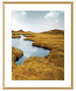 Obraz Grassy Field II 40x50cm