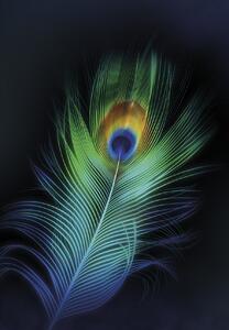 Plátno maľba Peacock Eye