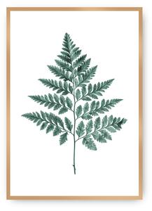 Plagát Fern 21 x 30 cm Emerald Green