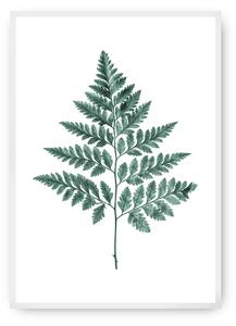 Plagát Fern 21 x 30 cm Emerald Green