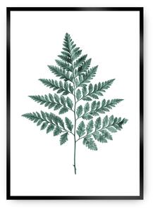 Plagát Fern 21 x 30 cm Emerald Green