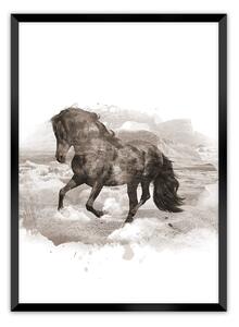 Plagát Horse