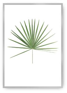 Plagát Tropical Leaf Green