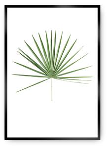 Plagát Tropical Leaf Green