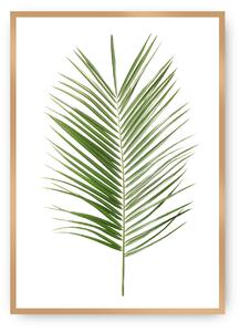 Plagát Palm Leaf Green
