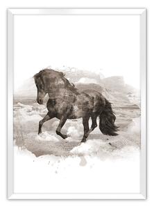 Plagát Horse