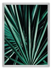 Plagát Dark Palm Tree