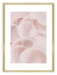 Plagát Pastel Pink I