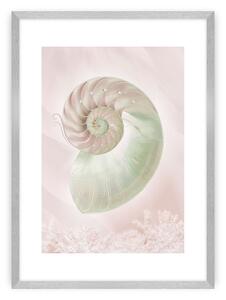 Plagát Pastel Pink III