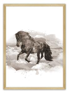 Plagát Horse