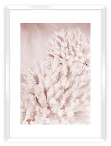 Plagát Pastel Pink II