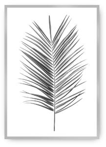 Plagát Palm Leaf Green