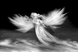 Samolepiaca tapeta čiernobiela podoba anjela v oblakoch