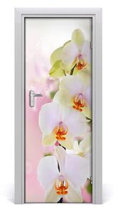 Samolepiace fototapety na dvere Biela orchidea 75x205cm