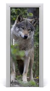 Samolepiace fototapety na dvere Vlk v lese 85x205 cm