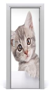 Samolepiace fototapety na dvere sivá mačka 75x205cm