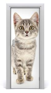 Samolepiace fototapety na dvere sivá mačka 85x205cm