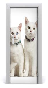 Samolepiace fototapety na dvere Dve biele mačky 85x205 cm