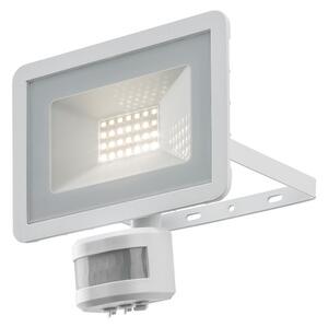 Livarno home Vonkajší LED reflektor (biela) (100370098)