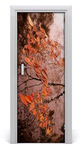 Fototapeta samolepiace jesenné lístie 95x205 cm