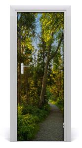 Fototapeta na dvere chodník v lese 85x205cm