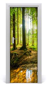 Fototapeta na dvere samolepiace slnka v lese 75x205cm