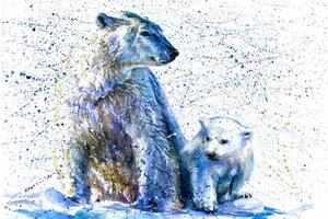 Tapeta ľadové medvede