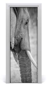 Samolepiace fototapety na dvere slon 75x205 cm