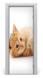 Samolepiace fototapety na dvere Malá červená mačka 95x205 cm