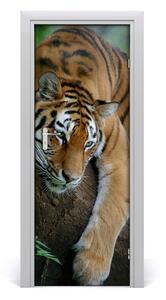 Samolepiace fototapety na dvere tiger na strome 95x205 cm