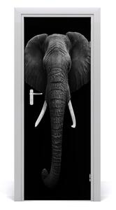 Samolepiace fototapety na dvere africký slon 75x205 cm