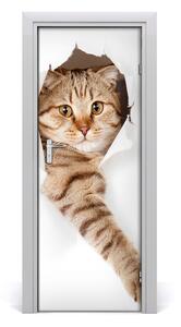 Samolepiace fototapety na dvere mačka 95x205cm