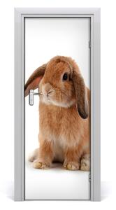 Samolepiace fototapety na dvere králik 75x205cm