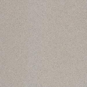 Dlažba Rako Taurus Granit sivá 20x20 cm mat TAA25076.1