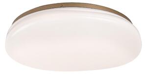 Rabalux 75053 - LED kúpeľňové stropné svietidlo CALIOPE LED/24W/230V IP44 pr. 41 cm