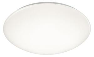 LED stropné osvetlenie Trio Paolo biela TR 686014001