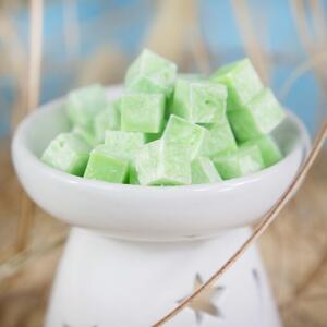 Repelentný vonný vosk Citronela 30 g