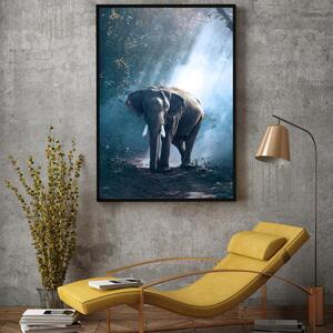 Plagát - Slon v džungli (A4)