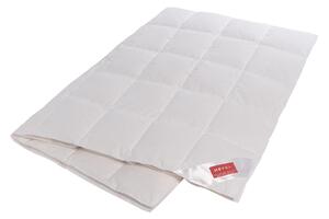 PÁPEROVÁ PRIKRÝVKA, 200/200 cm, perie, páperie Hefel Textil - Prikrývky & vankúše