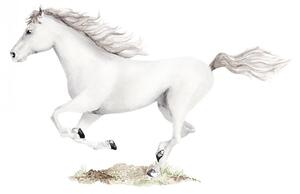 Nálepka na stenu Animals - biely kôň DK376