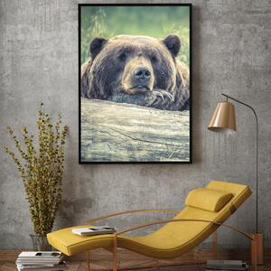 Plagát - Odpočívajúci medveď (A4)