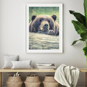 Plagát - Odpočívajúci medveď (A4)